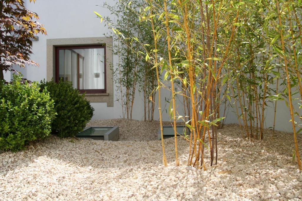 Santo Thyrso Hotel Santo Tirso Exterior foto
